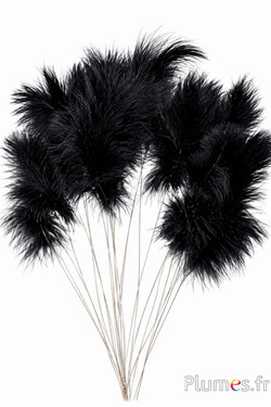Panicule 3 veren - hoogte 36 cm - zwart